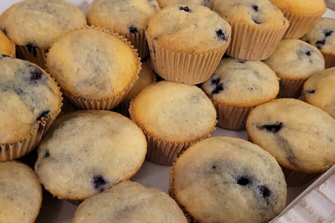 Morning Walks with Salem Food Tours - Pace, Physical Fitness, and Who It Fits Best