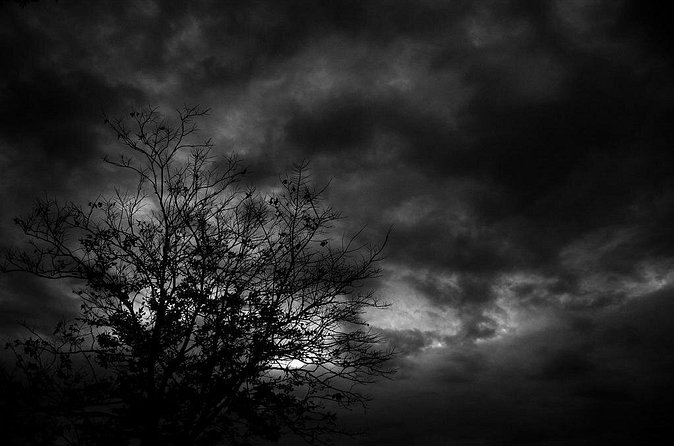 Mysteries and Murders of Salem Guided Night-Time Walking Tour - Who Should Book This Tour (and Who Might Want a Different Salem Plan)