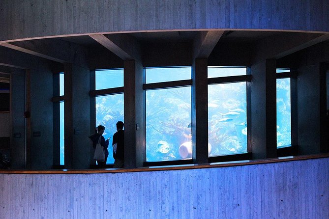 New England Aquarium Admission Ticket in Boston - Key Things to Know Before You Go