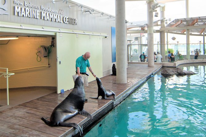 New England Aquarium Admission Ticket in Boston - Start at the Front Plaza: Harbor Seals and a Rocky Coast Welcome