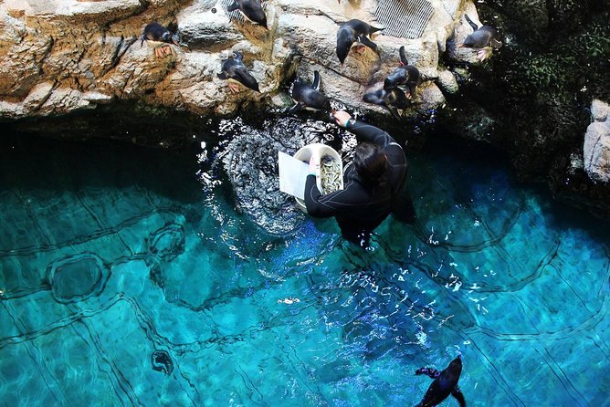 New England Aquarium Admission Ticket in Boston - Sea Turtles, Marine Mammals, and the Touch Tank Moment