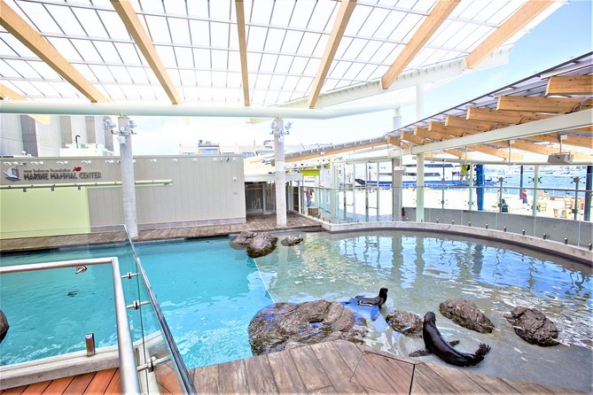New England Aquarium Admission Ticket in Boston - Value in Practice: What This Ticket Gives You for the Time