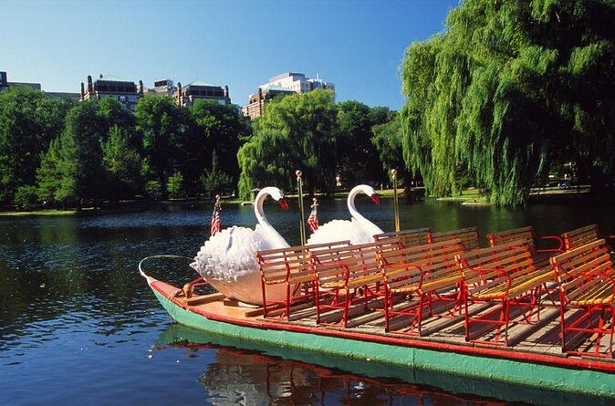 Private City Tour of Boston and Cambridge - Key things that make this tour work
