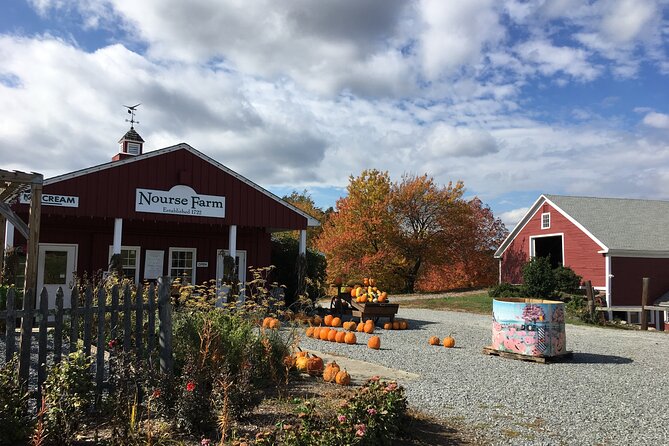 Private Walking Tour of the 100th Town in Westborough - Private tour perks that make it feel personal