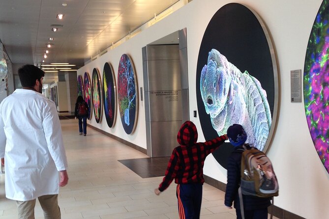 Public Innovation Trail Tour in Cambridge - What the free admissions add to the value