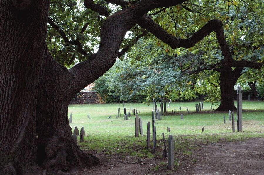 Salem: Requiem for Salem Walking Ghost Tour - Why Salem Requiem Feels Different From a Typical Ghost Tour