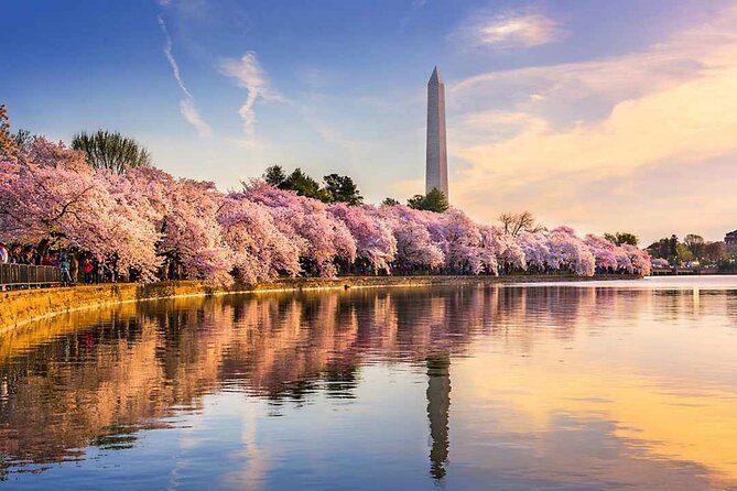 Washington D.C. Cherry Blossom,Baltimore 3-Day Tour from Boston - Key things that make this tour worth your time
