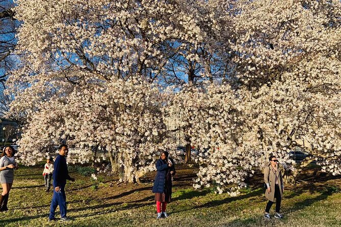 Washington D.C. Cherry Blossom,Baltimore 3-Day Tour from Boston - Small logistics details that matter